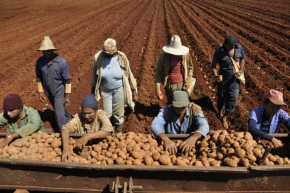 Llaman a los agropecuarios y forestales a centrar la atención en la  alimentación del pueblo
