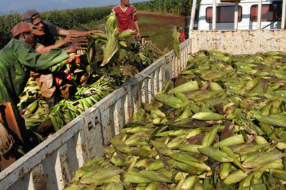 Los sobreprecios no alimentan