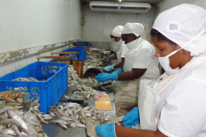 Reconocimiento al Sindicato Nacional de la Industria Alimentaria y la Pesca