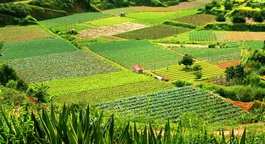 Foto: tomada de internet