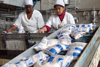 Yogur de soya: compleja realidad en el complejo Lácteo