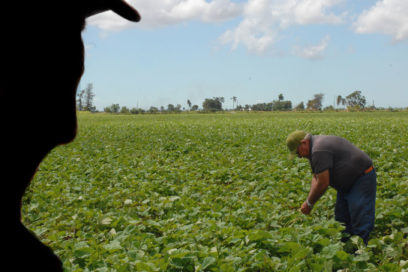 Escenario con visión de futuro