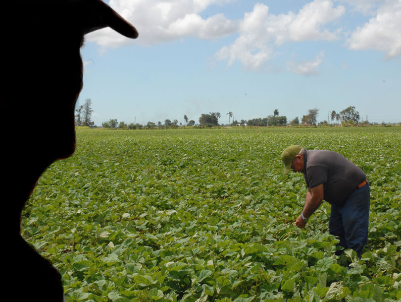 Foto: Joaquín Hernández Mena