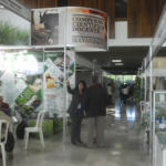 Foto: Agustín Rey Borrego Torres