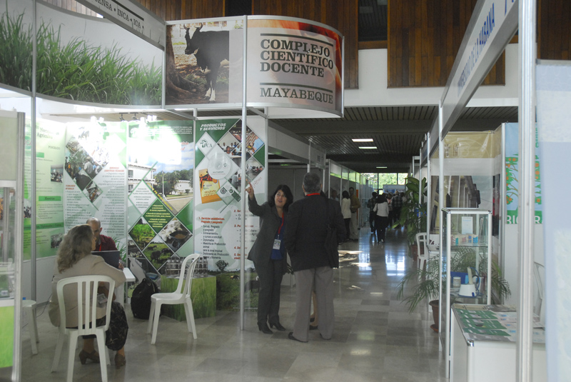 Foto: Agustín Rey Borrego Torres