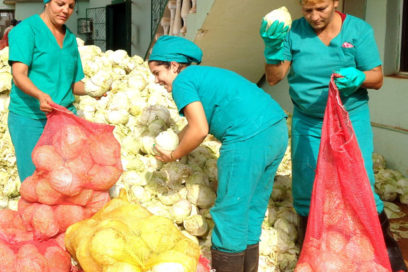 Las mujeres avileñas: puntales en la economía