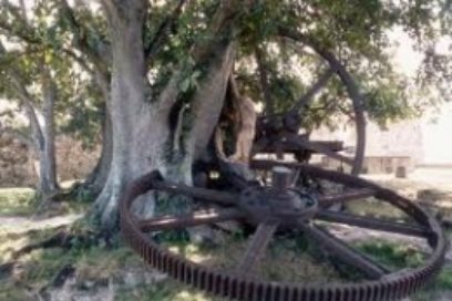 La historia falló a su favor