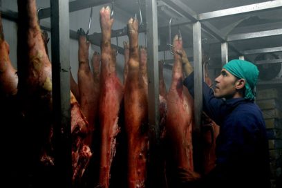 Centro de Elaboración de Ahumados Segunda Orquídea: pero no “segunda” de nadie