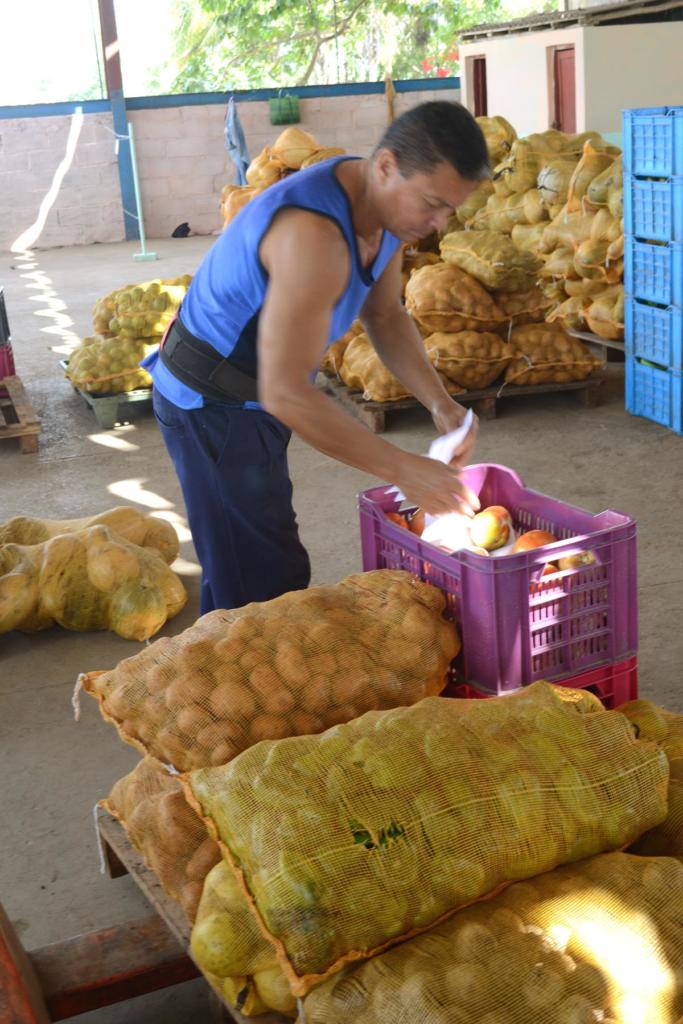 La dirección de cada entidad puede determinar qué hacer con los materiales sobrantes del proceso productivo, locales, almacenes, parqueo o ventas de autoconsumo.