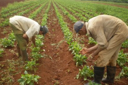 La atención a los trabajadores lo define todo