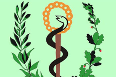 Desde este viernes audiencias sanitarias cederistas en todo el país