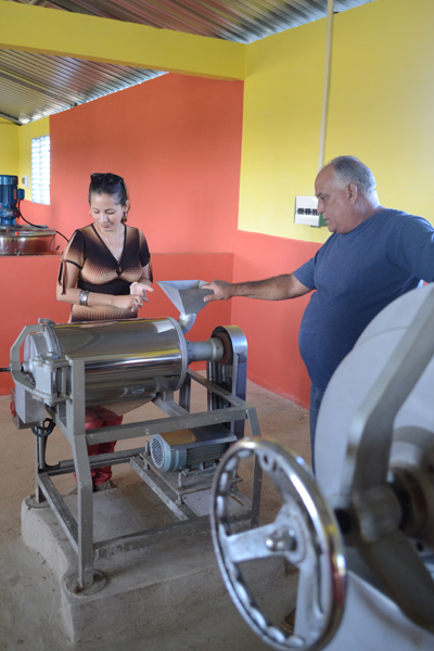 Los equipos de alta tecnología procesarán frutas y otros cultivos en pico de cosecha