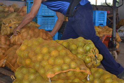 Otro tanto para la agroecología y la producción