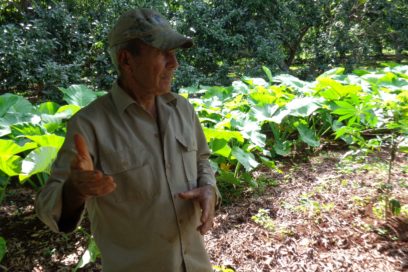 Desde la tradición, sembrar pensando en futuro