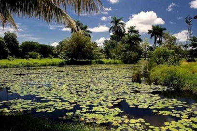 Proyectan humedales cubanos de importancia internacional