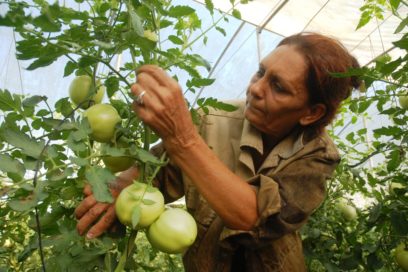 Homenaje a la mujer trabajadora cubana