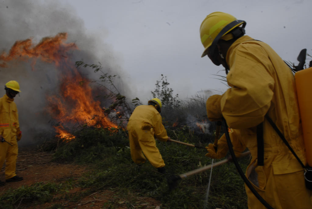 Altas temperaturas asociadas a los problemas de la sequía pueden generar condiciones favorables para que sucedan los incendios al menor descuido. Foto: Agustín Borrego