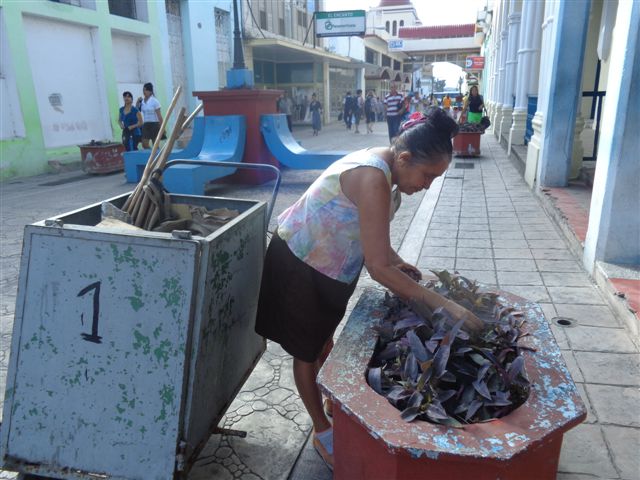 Caridad cuida de la limpieza, las jardineras y demás medios del boulevard.  Foto del autor