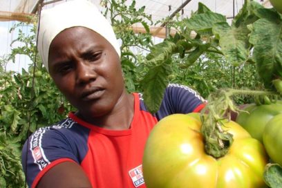 Una felicitación para todas las mujeres