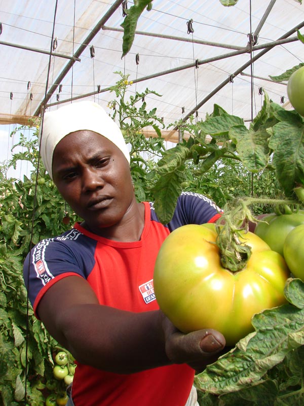 Foto: Agustín Borrego Torres.