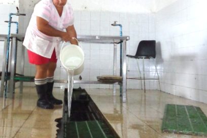 Donde hay higiene el Aedes no vuela