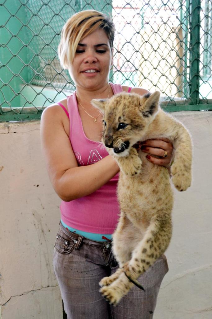 Técnicos en Veterinaria y otros especialistas atienden a las crías que dan continuidad al patrimonio del Parque.