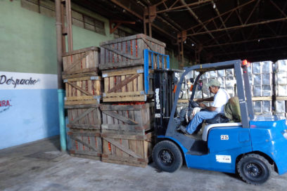 Naturaleza conspira contra La Conchita