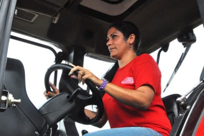 Flores en los campos de caña