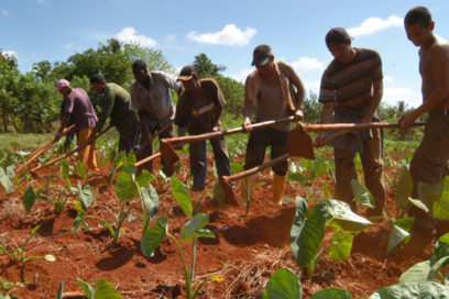 Economía al debate:  ¿Resultados Topados?