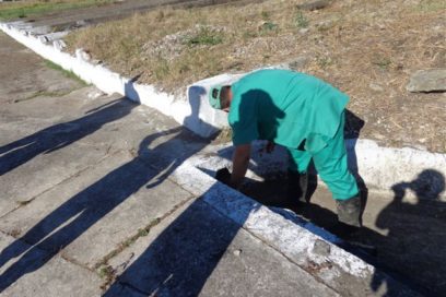 Cerrar brechas al mosquito