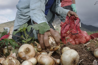 …Y el microclima, ¿se fue?