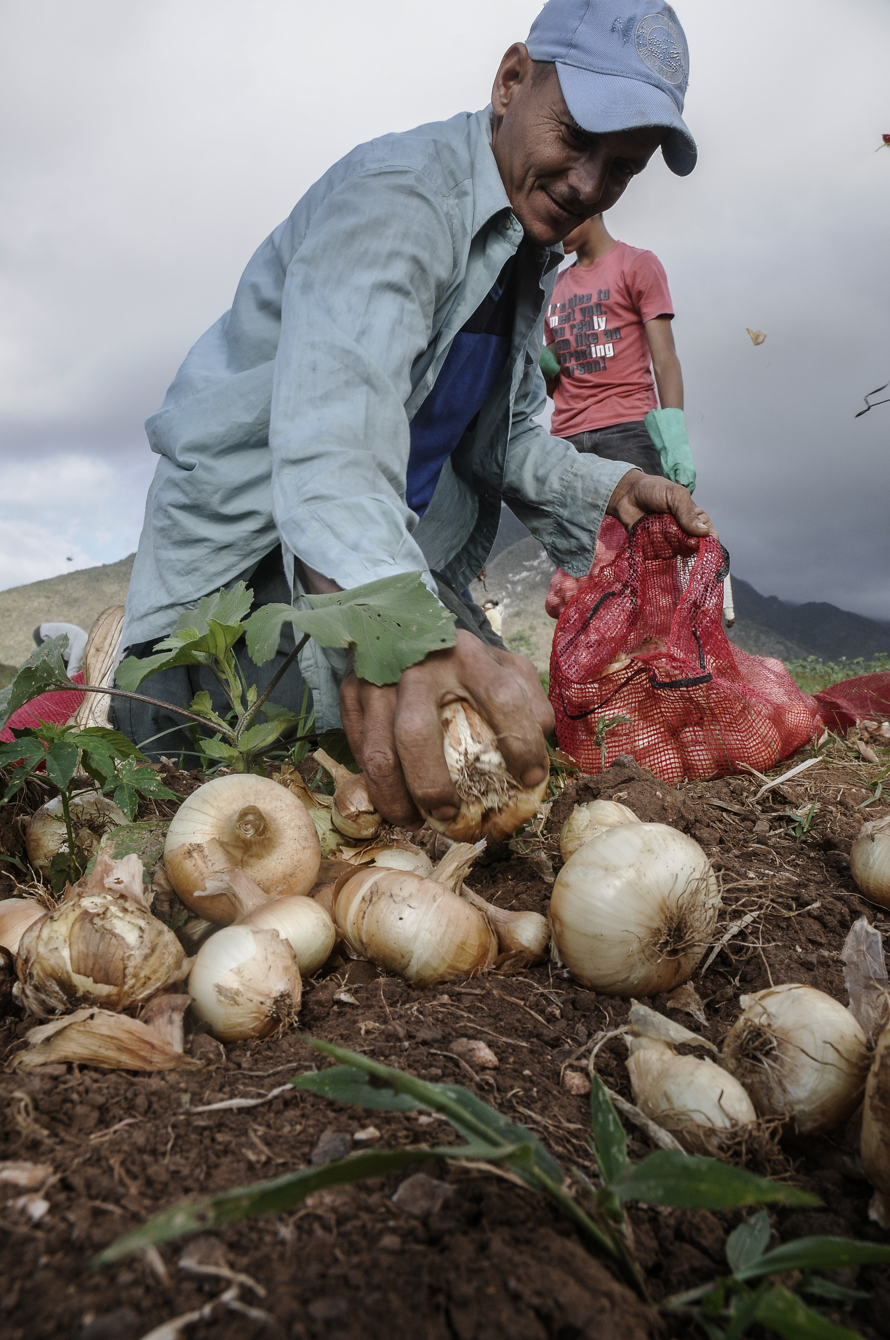Las variables del clima y la acción del hombre han condicionado el comportamiento de los cultivos en Banao.. Foto: René Pérez Massola