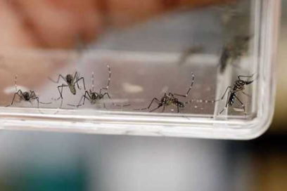 Cuba reporta quinto caso importado de virus zika