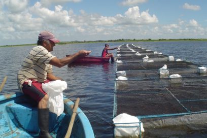 Acuicultura con luz larga
