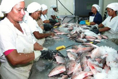 Confiados en la continuidad del socialismo