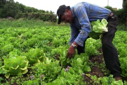 Empleados 4 millones 860 mil 500 personas