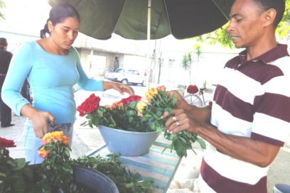 A la Plaza con la fragancia de las flores