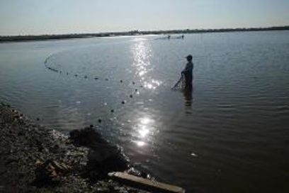 Donde el camarón no se duerme