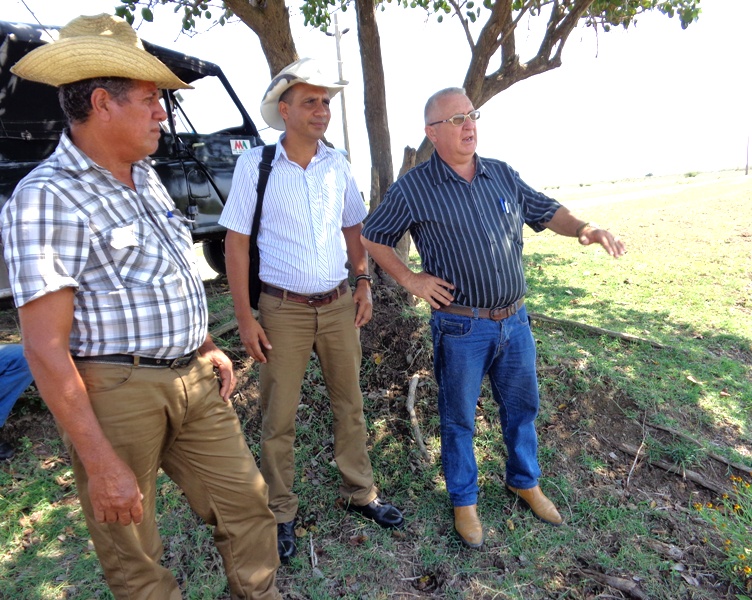 Argelio, Gabriel y Edilberto, en ese orden, valoran en el terreno las tácticas de la estrategia prevista. fotos: Jorge Pérez Cruz