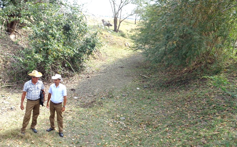 Ahora mismo está seco el canal por el que tradicionalmente llega el agua a las reses. 