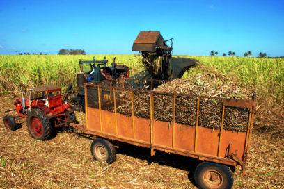Primero de Mayo en Cienfuegos: Intensifican aportes en la producción y los servicios