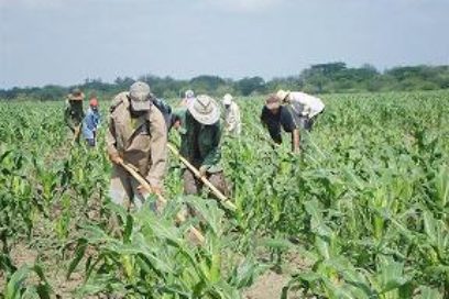 En Granma todo listo para celebrar el día de los trabajadores