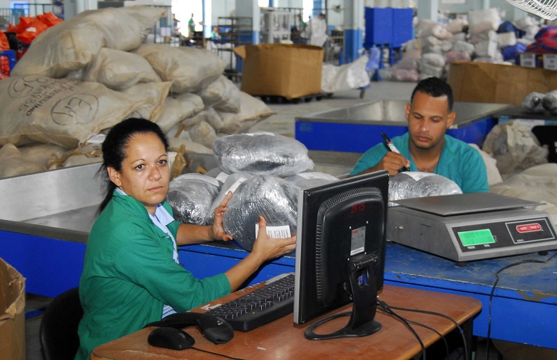 Trabajadores de la Planta de la Empresa de Mensajería y Cambio internacional. Fotos: Heriberto González Brito