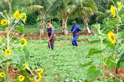 Agricultura: el reto del abastecimiento municipal