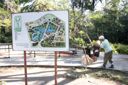 Permitidos todos los animales menos el Aedes