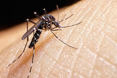 Reporta Cuba noveno caso importado de paciente con virus de Zika