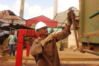 Avileños, máximos productores de azúcar