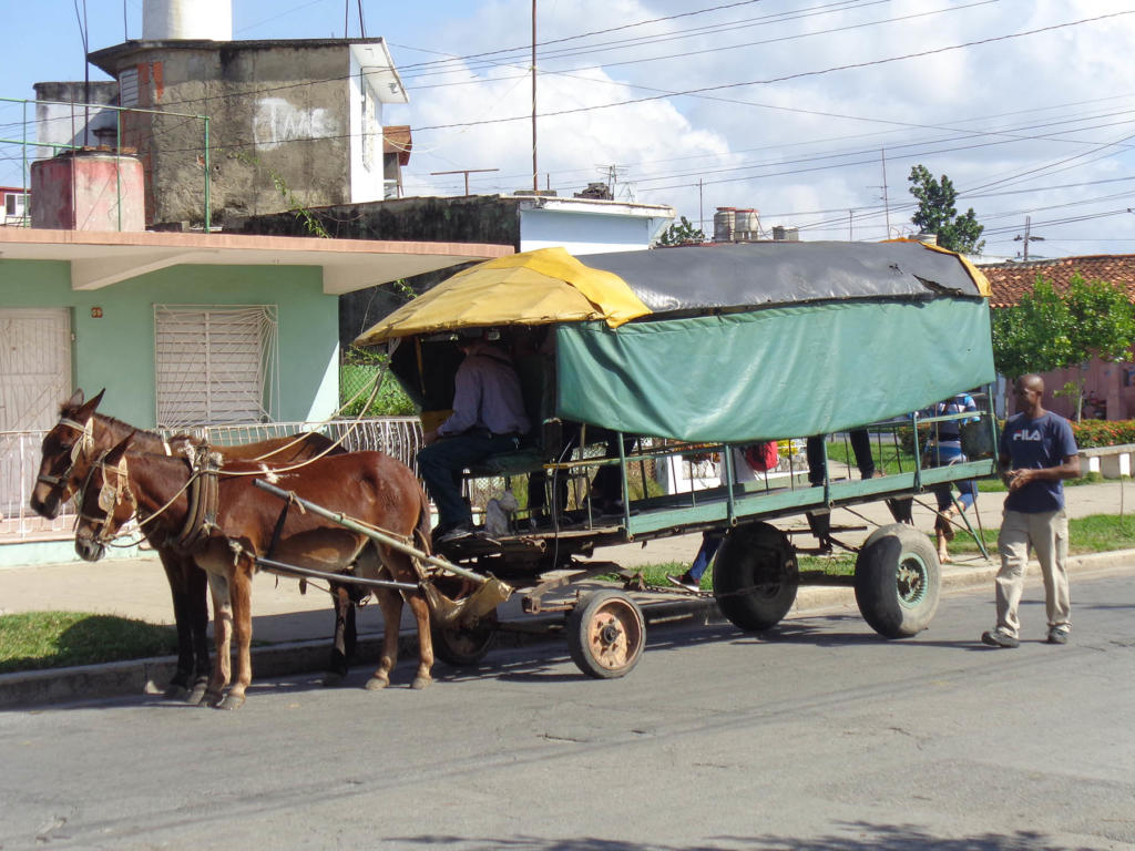Foto: Eduardo González Martínez