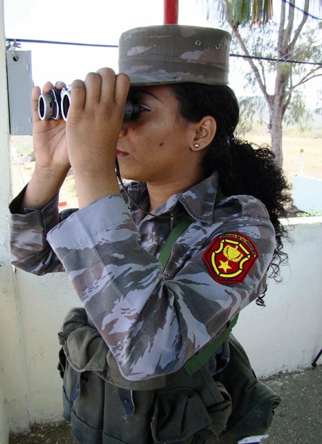 Brigada frontera I
