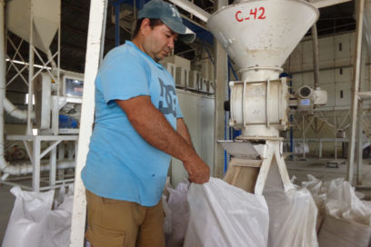 Economía: “asignatura” desaprobada